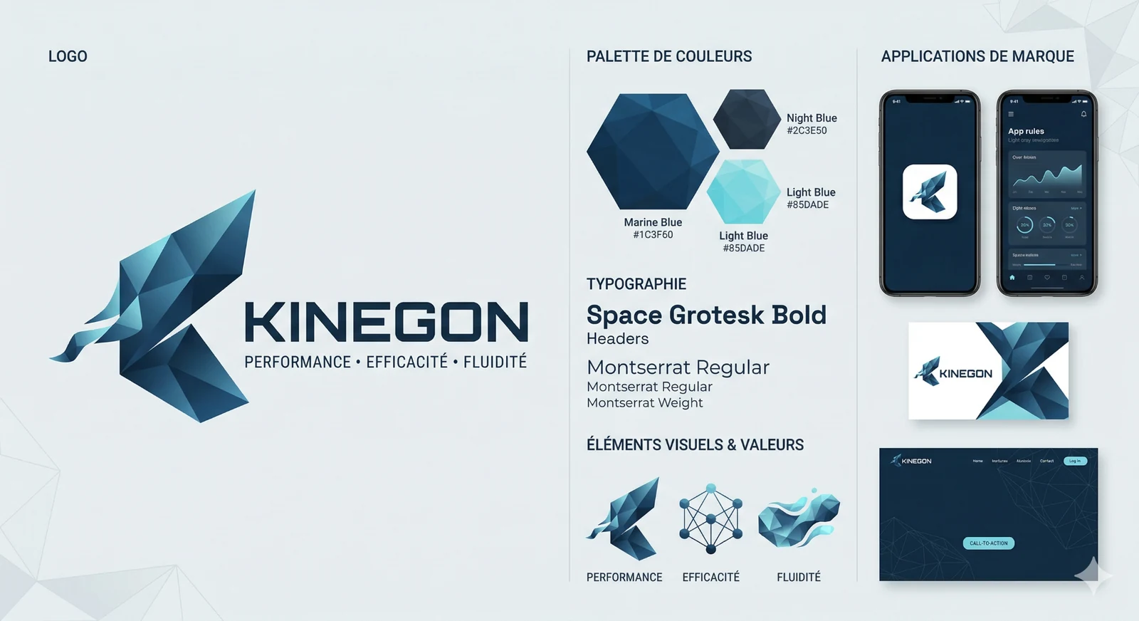Planche d'identité visuelle de Kinegon